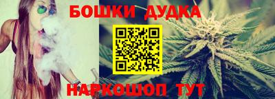 индика Янаул