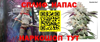 гашик Ярцево