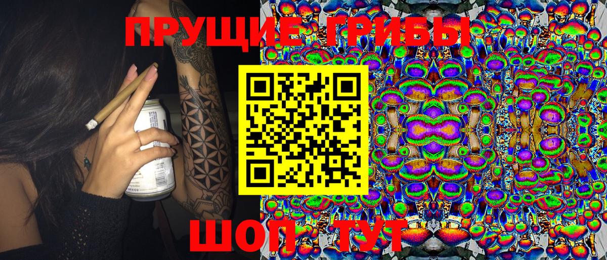 Галлюциногенные грибы Cubensis Благодарный